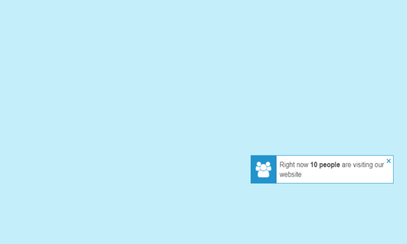 Number of visitors Notification A Notification that informs the customer about the number of visitors of the website
